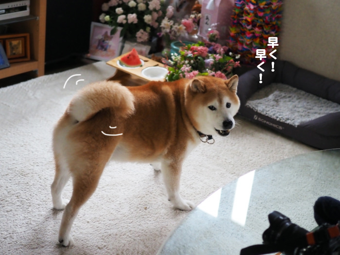 21日夕ブログ７