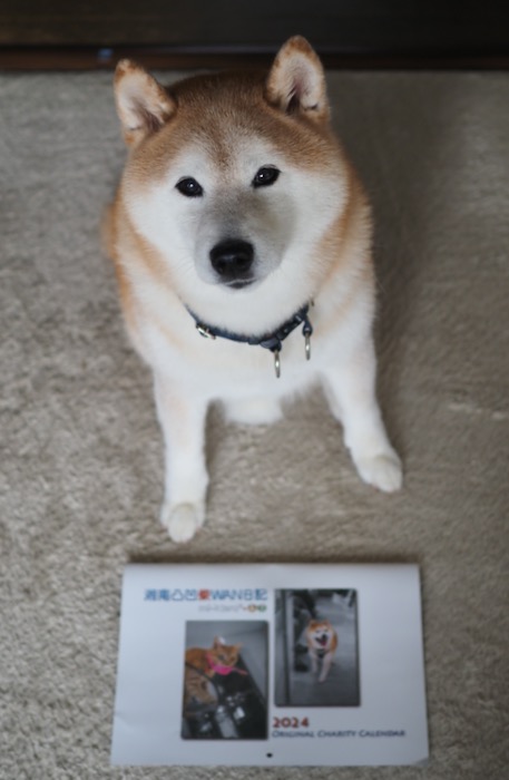 15日夕ブログ７