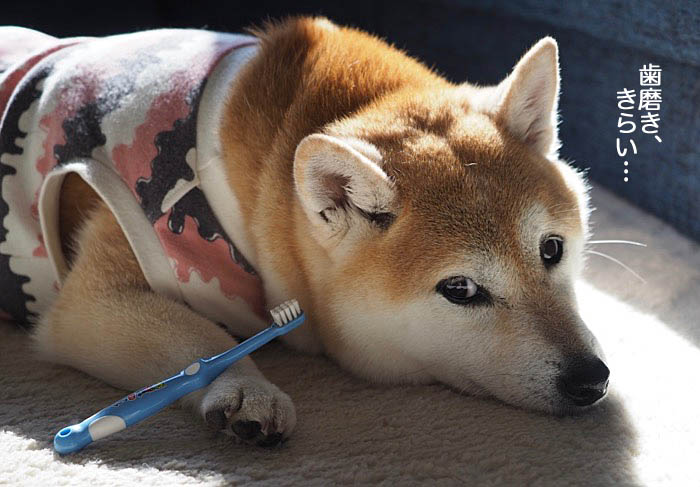 13日ブログ４