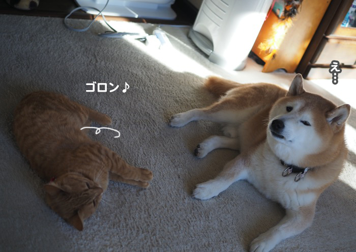 21日ブログ１