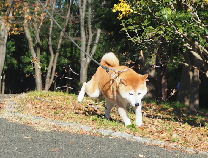 5日ブログ２