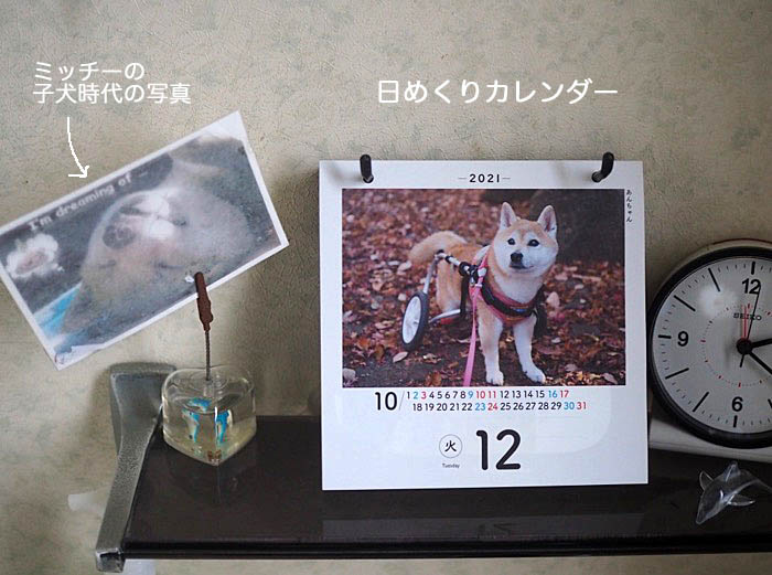 12日夜ブログ１