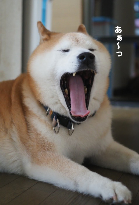 7日朝ブログ４