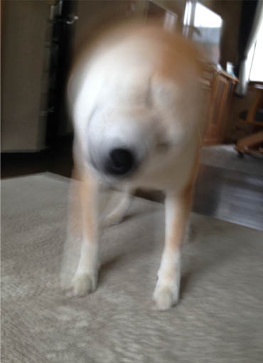 24日ブログ14.jpg