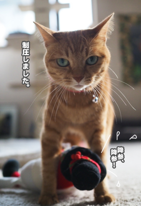 20日夜ブログ８