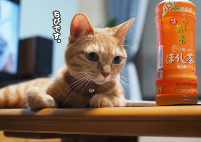 26日ブログ４