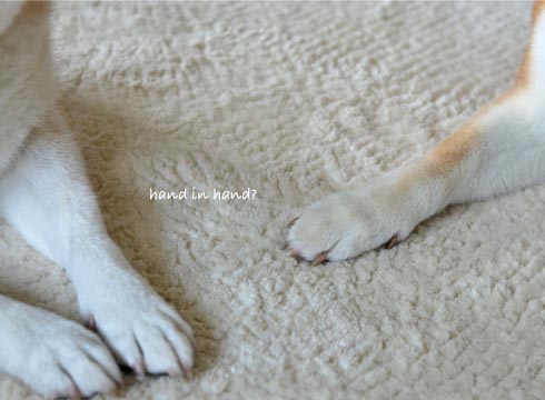 17日ブログ5.jpg