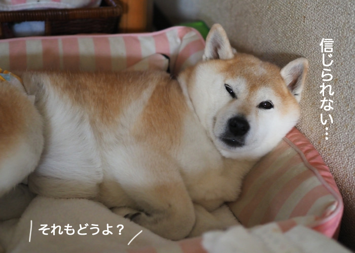 8日夜ブログ８