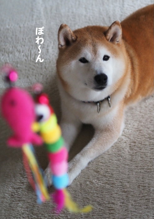 20日ブログ４