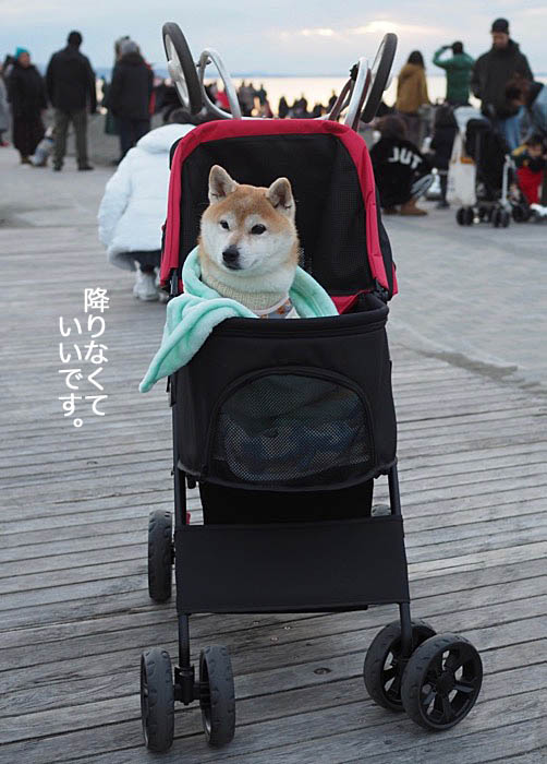 1日夜ブログ３