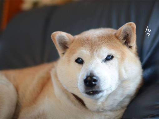 3日ブログ5.jpg