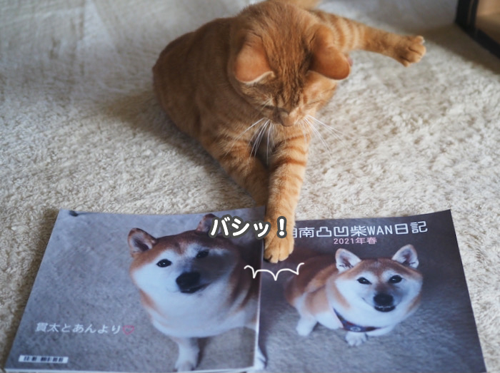 13日ブログ３