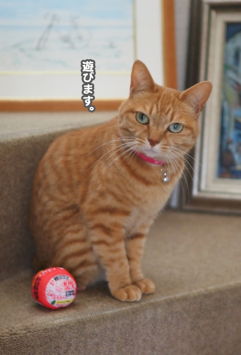 15日夕ブログ３