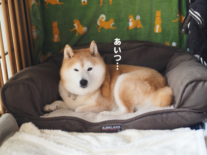 14日夕ブログ８