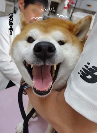 28日ブログ3.jpg