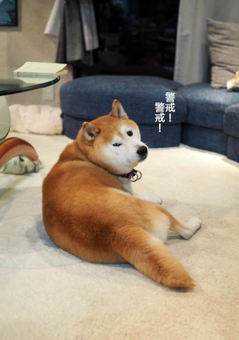 8日夜ブログ２