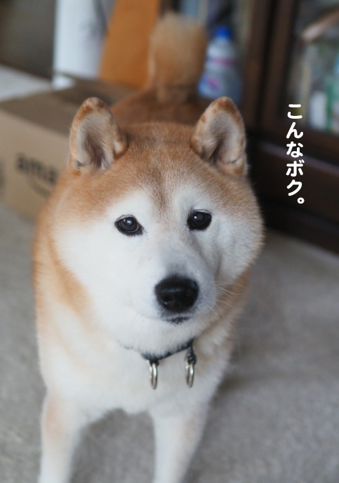 5日ブログ６