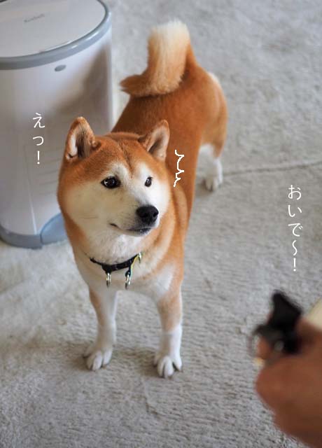 20日ブログ３