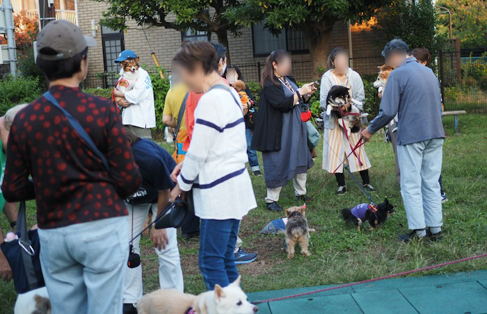 14日夜ブログ４