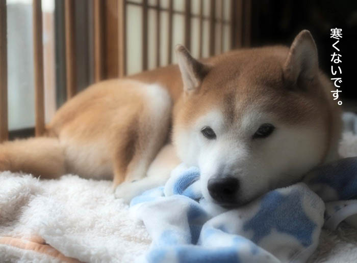 2日ブログ３