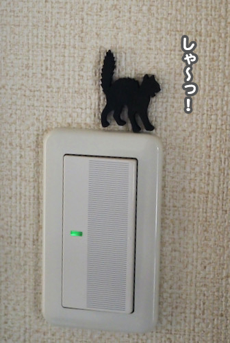 15日夕ブログ4