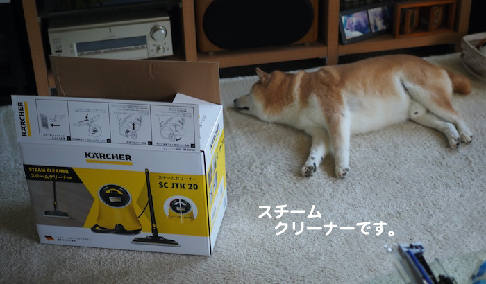 1日夕ブログ３