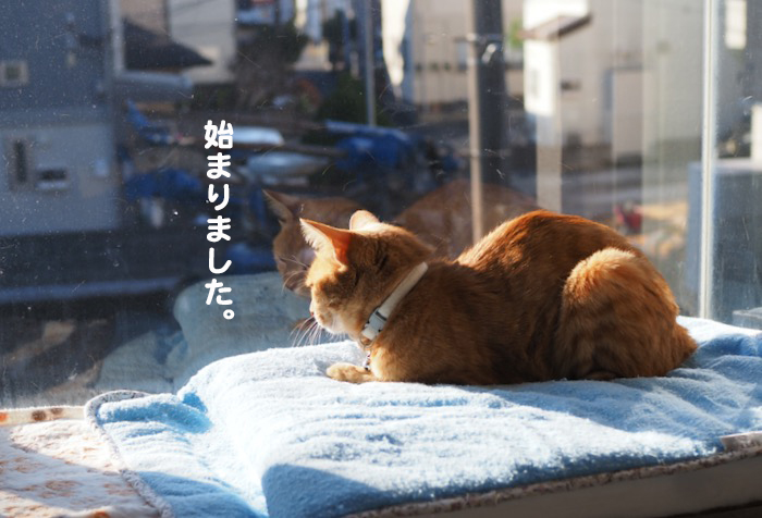 28日ブログ５