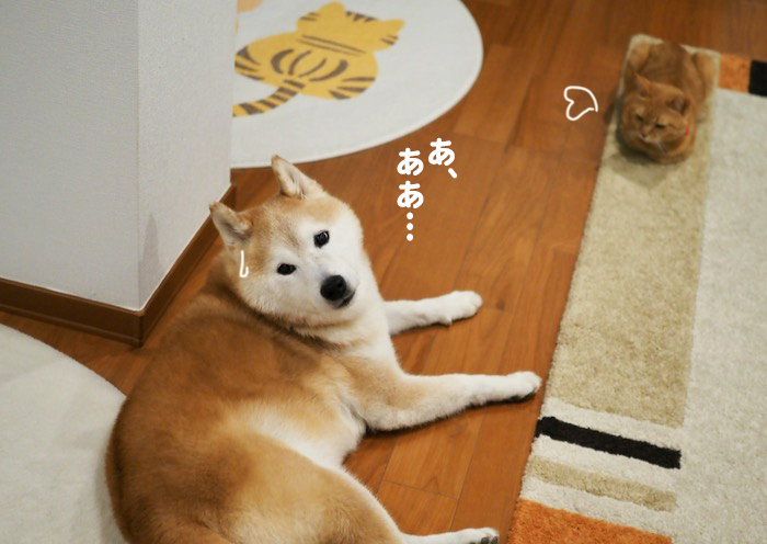 4日夕ブログ３