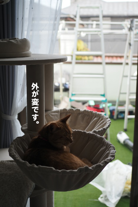 11日夕ブログ６