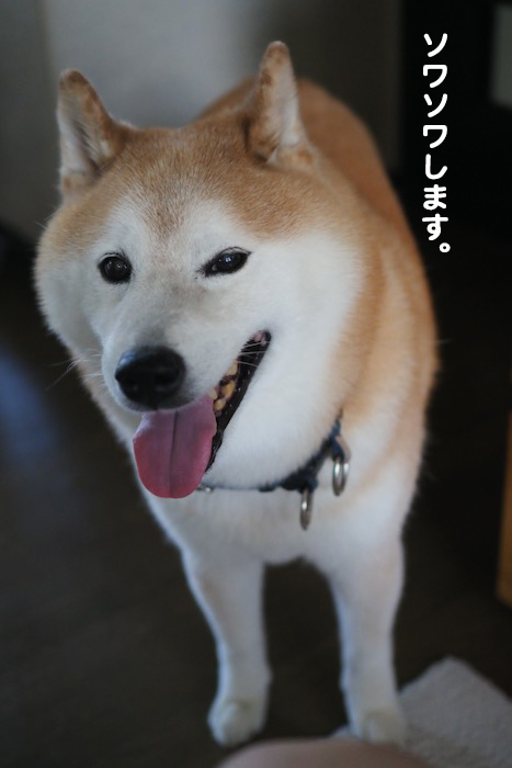 9日ブログ３