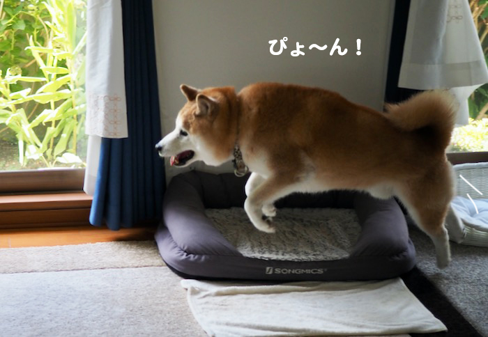 4日ブログ２