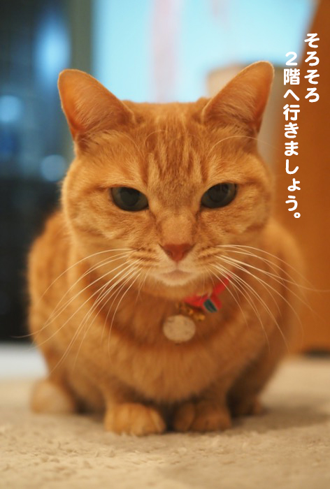 25日ブログ２