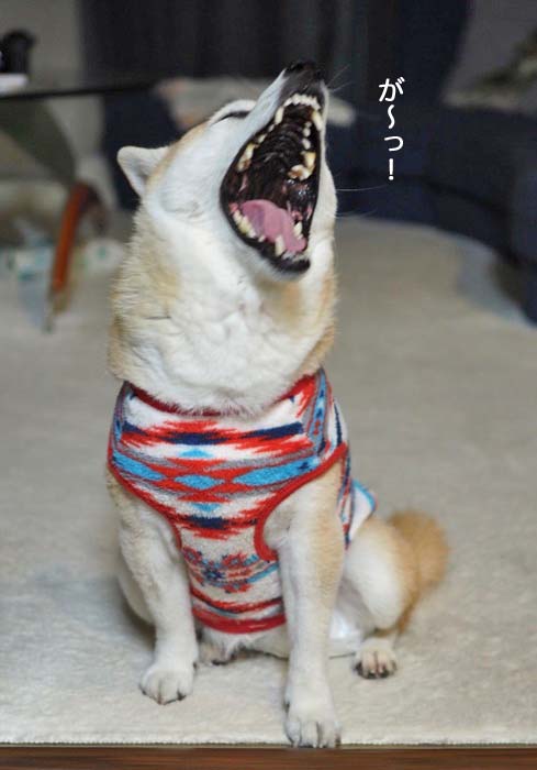 17日ブログ２