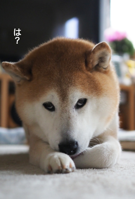 24日ブログ３