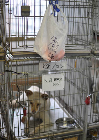13日ブログ7.jpg