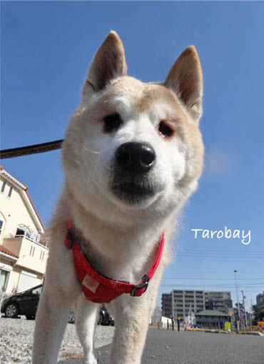 15日ブログ4.jpg