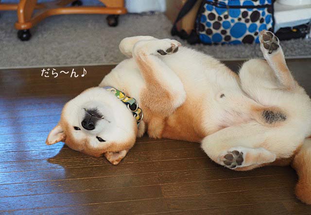 3日ブログ3