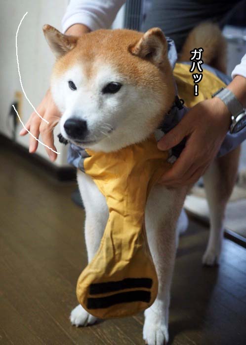 14日ブログ３