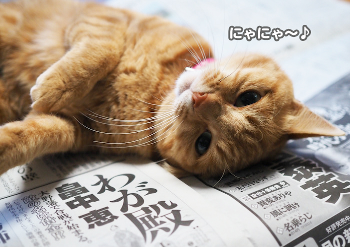 4日夕ブログ５
