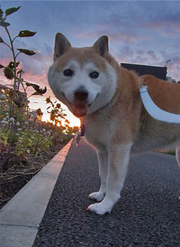 21日ブログ2.jpg