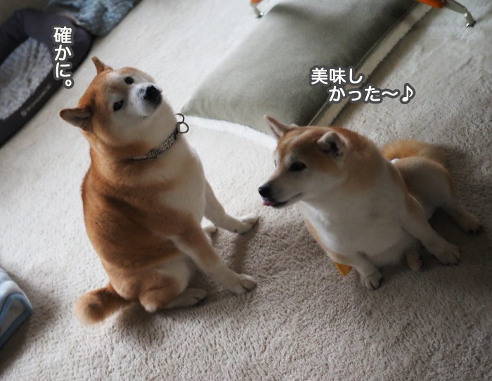 19日ブログ４