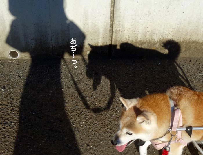 29日ブログ４