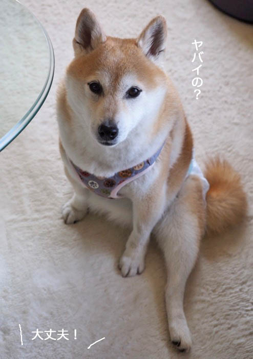 23日午前ブログ１４