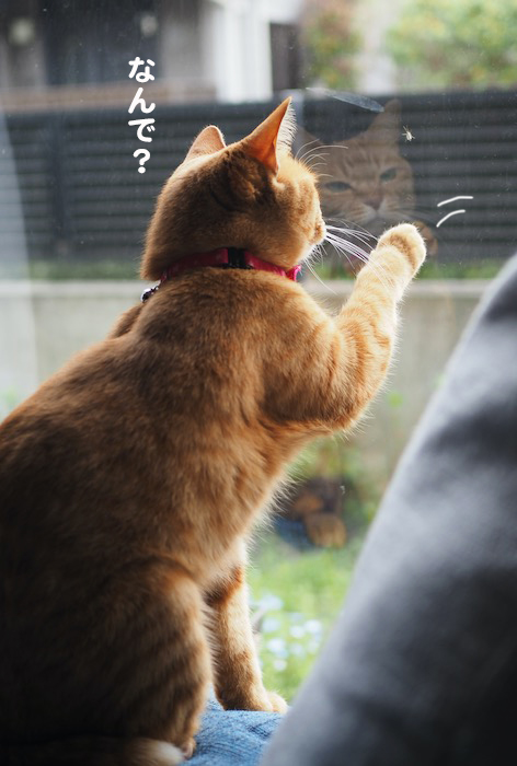 2日夕ブログ９