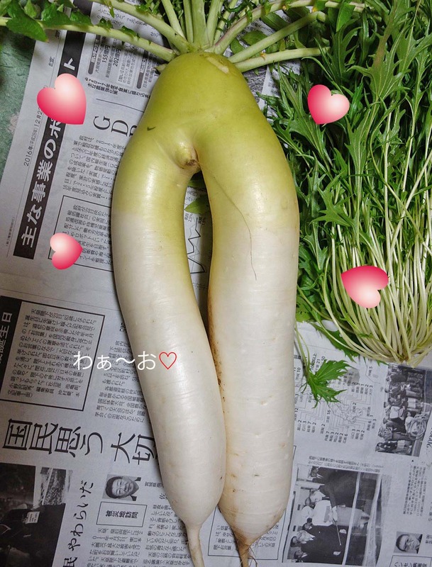 27日ブログ2