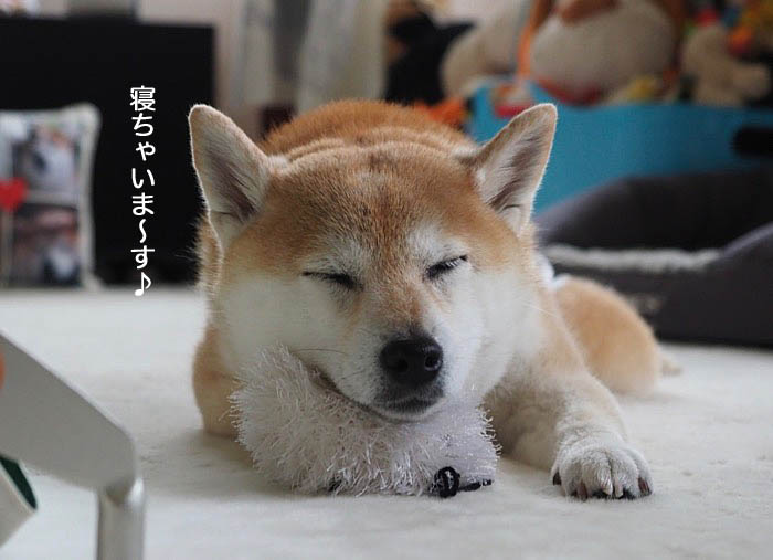 2日夜ブログ５