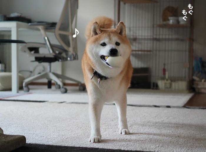 13日夕ブログ８