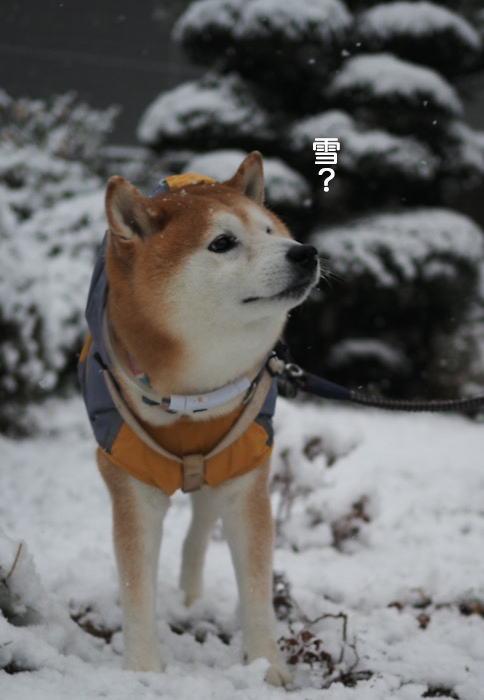 6日夜ブログ６