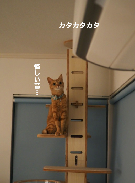 11日夜ブログ８
