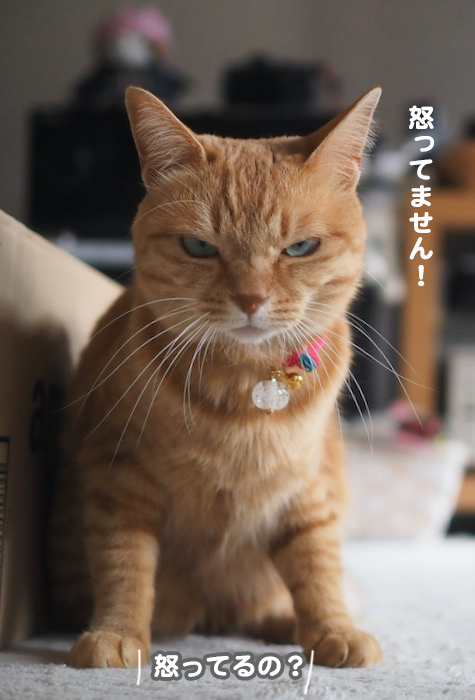 25日夕ブログ３